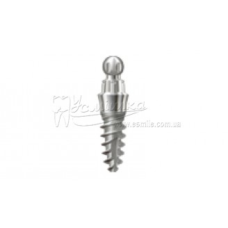 mini1SKY implant one-piece Ø 2.8 mm L 06 mm 1 Piece     mini1SKY імплантант цільний Ø 2.8 мм L 06 мм 1 шт